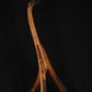 Folding chechen Caribbean rosewood and curly maple wood electric bass guitar floor stand full front image