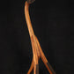 Folding sapele mahogany wood electric bass guitar floor stand full front image