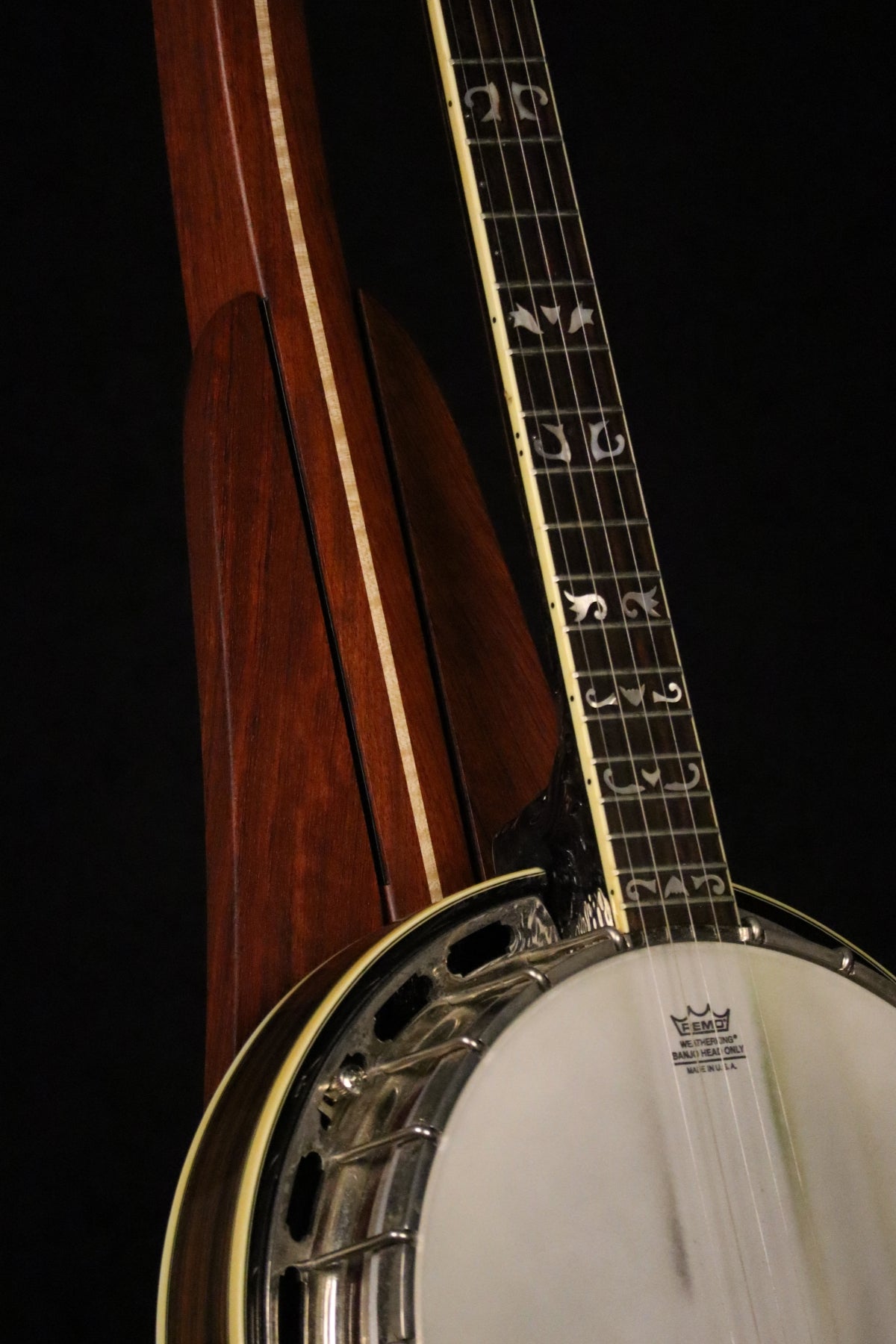 Folding bubinga rosewood and curly maple wood banjo floor stand closeup front image with Alvarez banjo