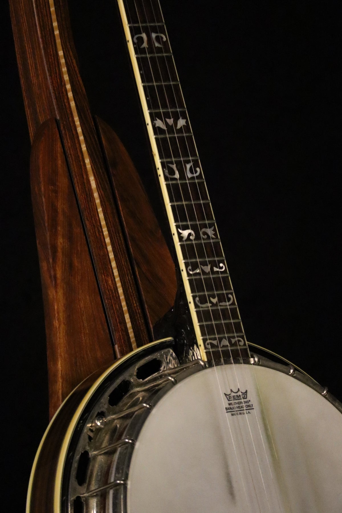 Folding chechen Caribbean rosewood and curly maple wood banjo floor stand closeup front image with Alvarez banjo