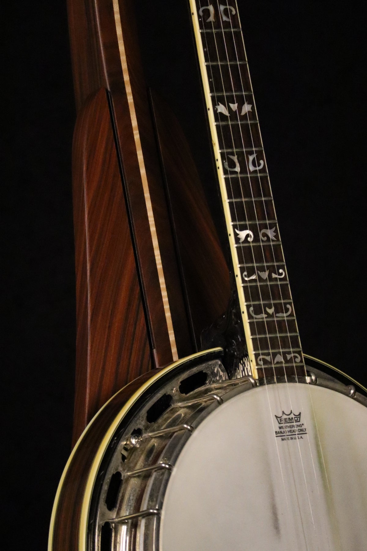 Folding morado Bolivian rosewood pau fero and curly maple wood banjo floor stand closeup front image with Alvarez banjo