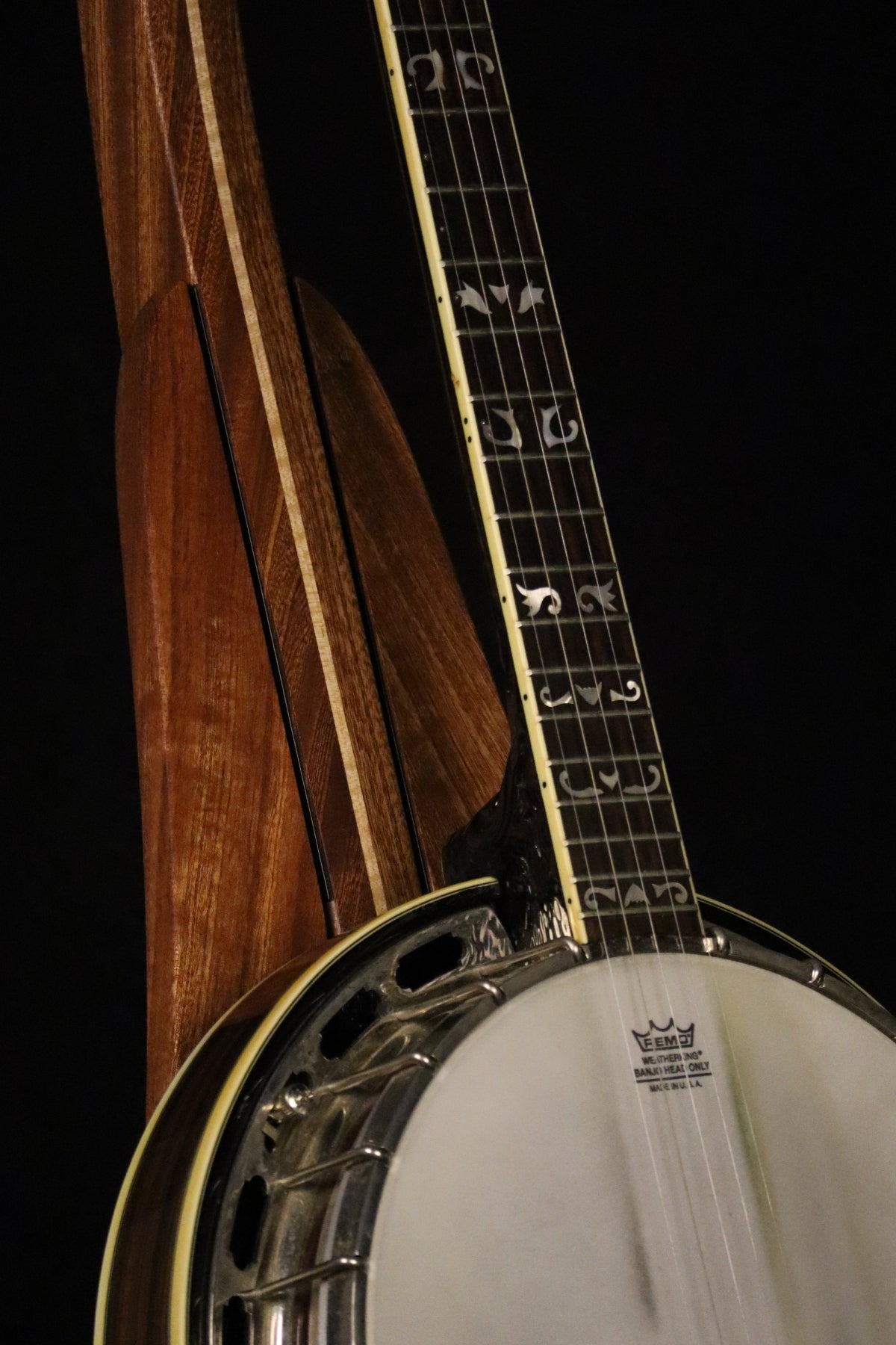 Folding sapele mahogany and curly maple wood banjo floor stand closeup front image with Alvarez banjo