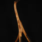 Folding sapele mahogany and curly maple wood electric bass guitar floor stand full front image