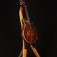 Folding cherry and walnut wood mandolin floor stand full front image with Eastman mandolin