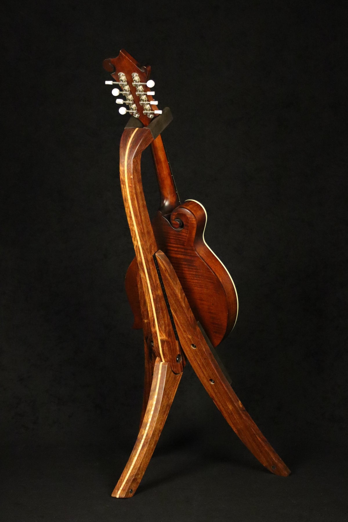 Folding chechen Caribbean rosewood and curly maple wood mandolin floor stand full rear image with Eastman mandolin