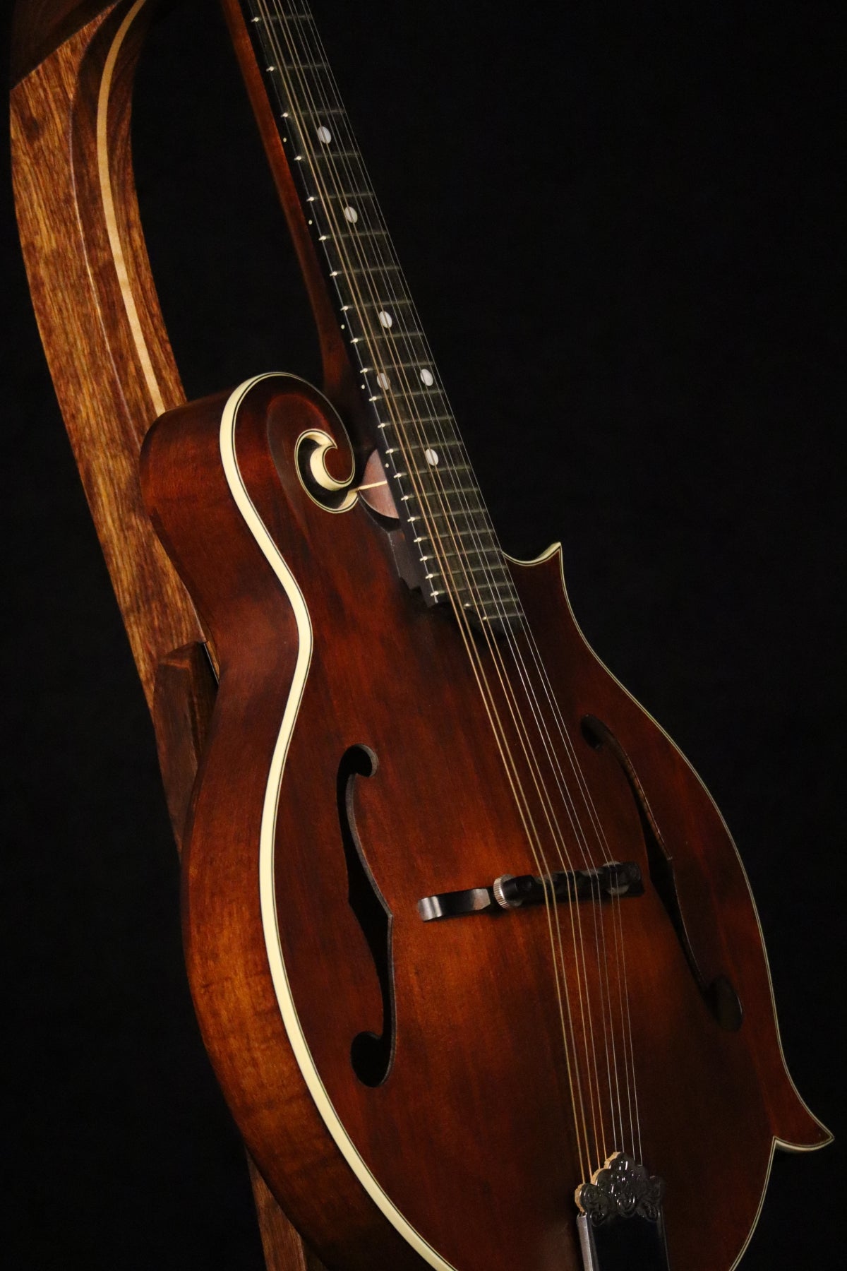 Folding chechen Caribbean rosewood and curly maple wood mandolin floor stand closeup front image with Eastman mandolin