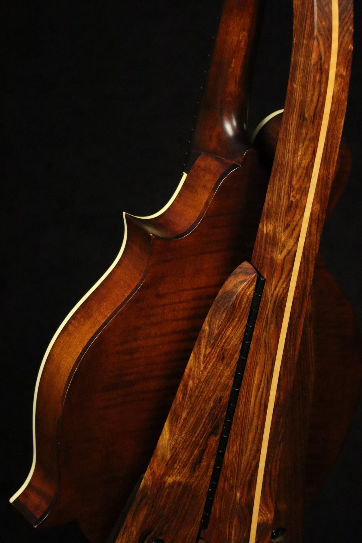 Folding chechen Caribbean rosewood and curly maple wood mandolin floor stand closeup rear image with Eastman mandolin
