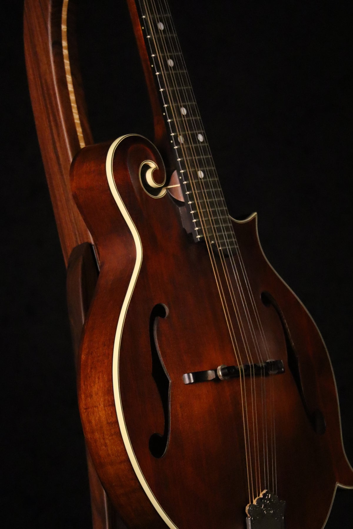 Folding morado Bolivian rosewood pau fero and curly maple wood mandolin floor stand closeup front image with Eastman mandolin