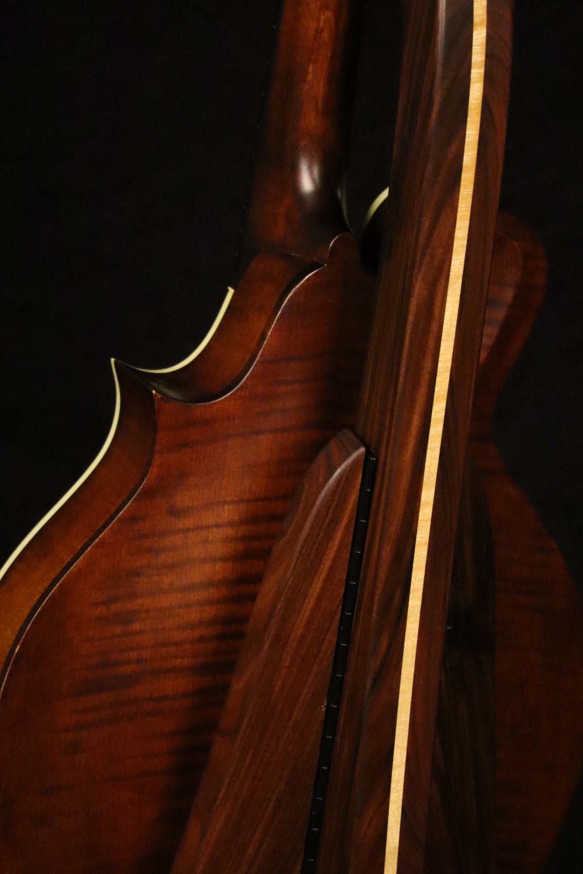 Folding morado Bolivian rosewood pau fero and curly maple wood mandolin floor stand closeup rear image with Eastman mandolin